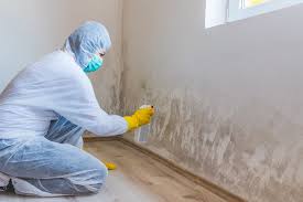 Best Mold Removal for HVAC Installations in Baker City, OR