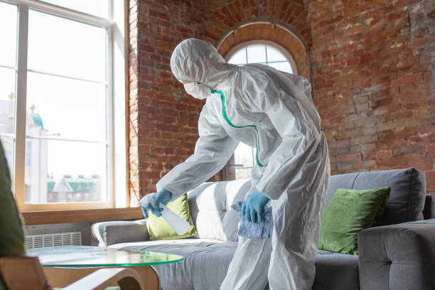 Best Mold Odor Removal Services in Baker City, OR