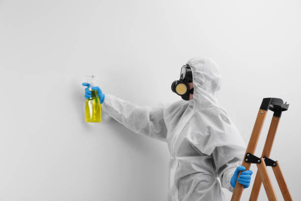 Best Emergency Mold Remediation in Baker City, OR