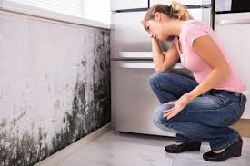 Best Mold-Related Health Consultation in Baker City, OR